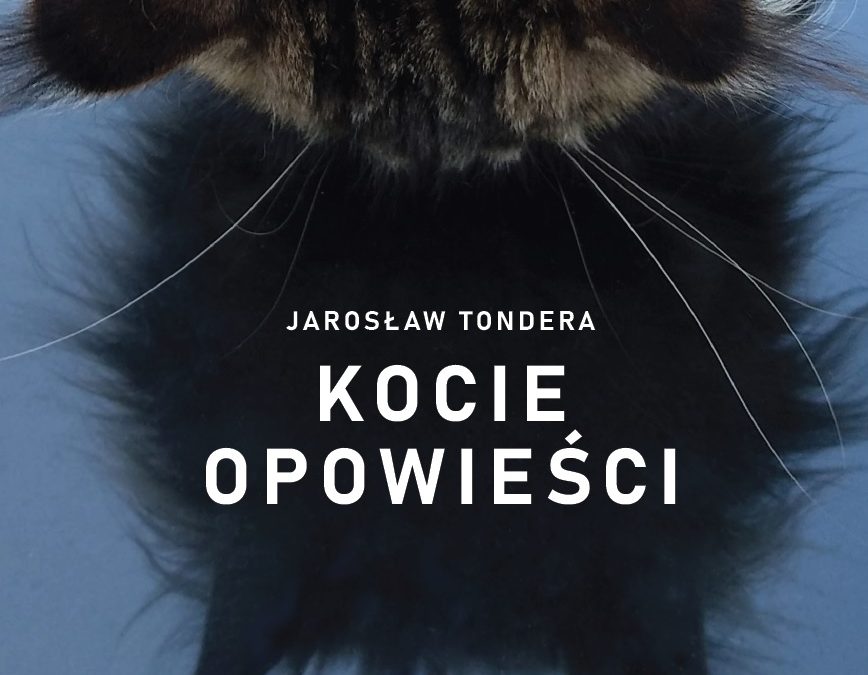 Luty miesiącem KOTA w Galerii RastART