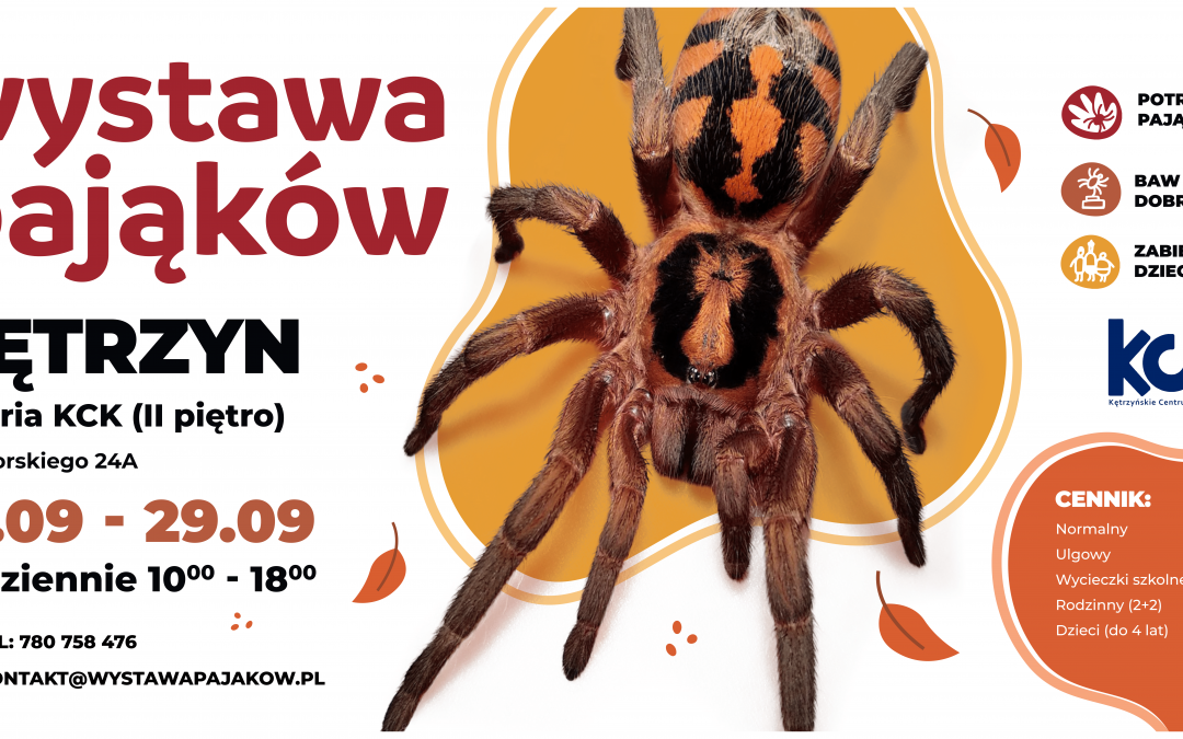 WYSTAWA PAJĄKÓW I SKORPIONÓW