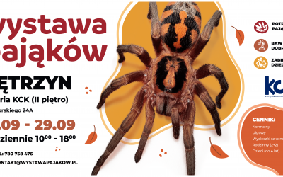 WYSTAWA PAJĄKÓW I SKORPIONÓW