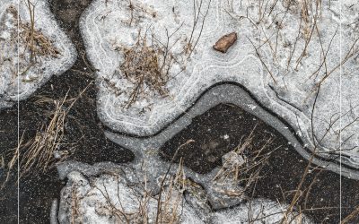 PEJZAŻ POLSKI 2024 – zgłoś swoje zdjęcia i zawalcz o nagrody!