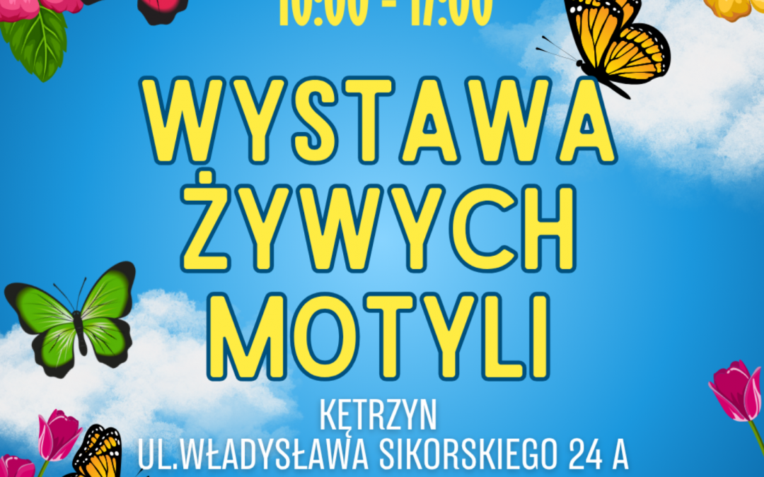 Wystawa Motyli w Galerii KCK