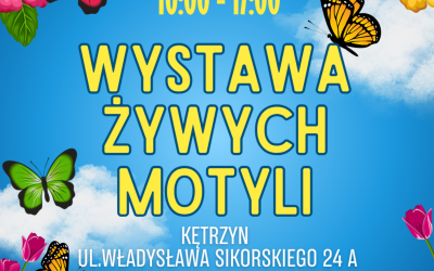 Wystawa Motyli w Galerii KCK